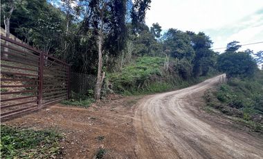VENDO FINCA EN QUEBRADANEGRA