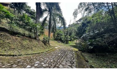 VENDO FINCA EN QUEBRADANEGRA