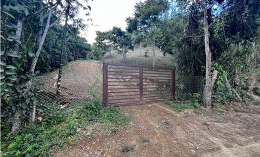 VENDO FINCA EN QUEBRADANEGRA