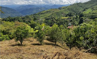 VENDO FINCA EN QUEBRADANEGRA