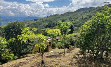 VENDO FINCA EN QUEBRADANEGRA