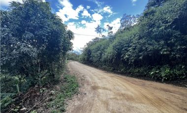 VENDO FINCA EN QUEBRADANEGRA
