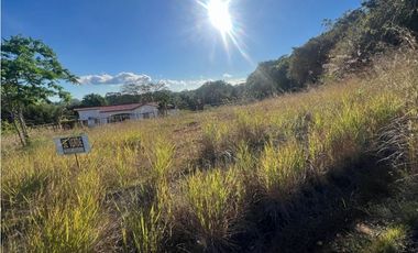 Terreno en venta en San Carlitos David Chiriquí