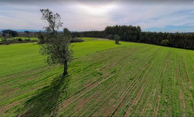 Parcelas Frutillar Oportunidad Agua y luz