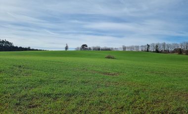 Parcelas Frutillar Oportunidad Agua y luz