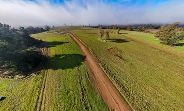 Parcelas Frutillar Oportunidad Agua y luz