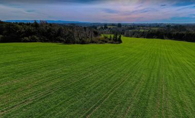 Parcelas Frutillar Oportunidad Agua y luz
