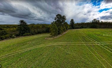 Parcelas Frutillar Oportunidad Agua y luz