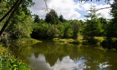 Parcelas Frutillar Oportunidad Agua y luz