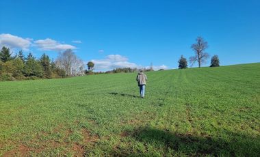 Parcelas Frutillar Oportunidad Agua y luz