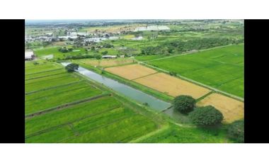 Hacienda Agrícola 80.5 Ha con Pozos,– Playas