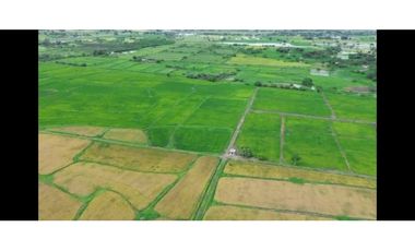 Hacienda Agrícola 80.5 Ha con Pozos,– Playas