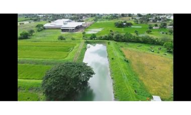 Hacienda Agrícola 80.5 Ha con Pozos,– Playas