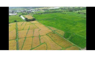 Hacienda Agrícola 80.5 Ha con Pozos,– Playas