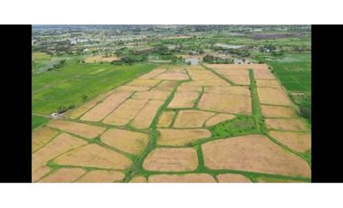 Hacienda Agrícola 80.5 Ha con Pozos,– Playas