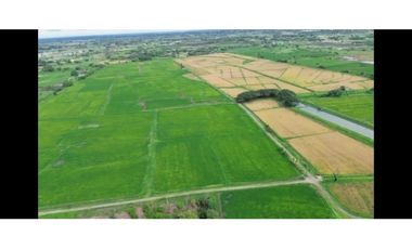Hacienda Agrícola 80.5 Ha con Pozos,– Playas
