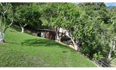 VENTA FINCA TITIRIBI ,SUROESTE ANTIOQUEÑO