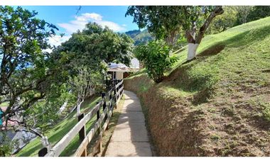 VENTA FINCA TITIRIBI ,SUROESTE ANTIOQUEÑO