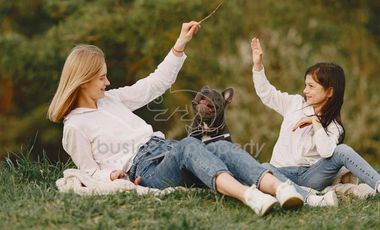 Terreno Habitacional GRAN OPORTUNINDAD