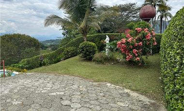 VENTA FINCA, LA PINTADA SUROESTE ANTIOQUEÑO