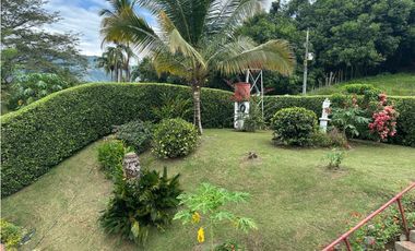 VENTA FINCA, LA PINTADA SUROESTE ANTIOQUEÑO