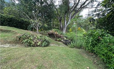 VENTA FINCA, LA PINTADA SUROESTE ANTIOQUEÑO