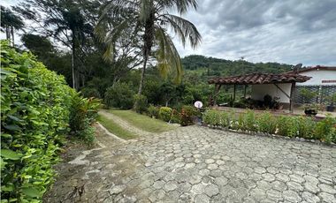 VENTA FINCA, LA PINTADA SUROESTE ANTIOQUEÑO