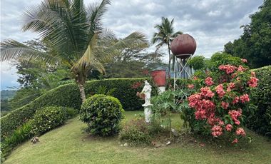 VENTA FINCA, LA PINTADA SUROESTE ANTIOQUEÑO