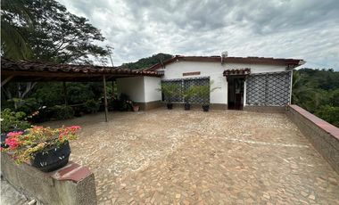 VENTA FINCA, LA PINTADA SUROESTE ANTIOQUEÑO