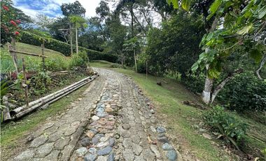 VENTA FINCA, LA PINTADA SUROESTE ANTIOQUEÑO