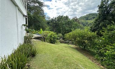 VENTA FINCA, LA PINTADA SUROESTE ANTIOQUEÑO