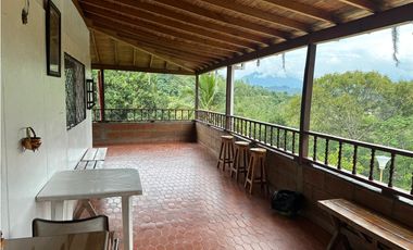 VENTA FINCA, LA PINTADA SUROESTE ANTIOQUEÑO