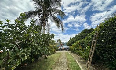 VENTA FINCA, LA PINTADA SUROESTE ANTIOQUEÑO