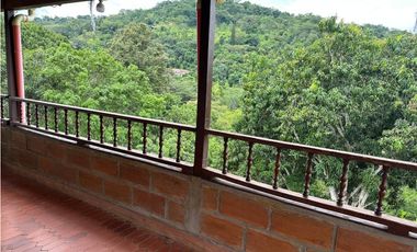 VENTA FINCA, LA PINTADA SUROESTE ANTIOQUEÑO