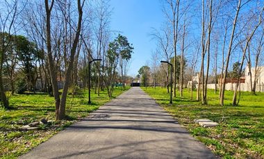 VENTA DE LOTES CON ESCRITURA INMEDIATA