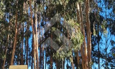 Departamento en Venta en Av. mirasol