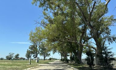 TERRENO EN VENTA EN SANTA CLARA AL SUR - INTERNO