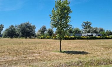 FINCAS de SAN VICENTE SPORTING, Tu lugar soñado