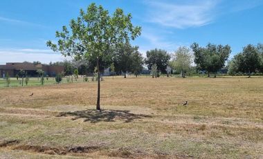 FINCAS de SAN VICENTE SPORTING, Tu lugar soñado