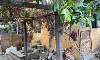 BARRIO CENTENARIO A PASOS DE ALAMEDA