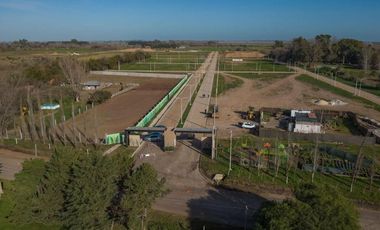 Lote en Venta en El Naranjo Ibarlucea OPORTUNIDAD!