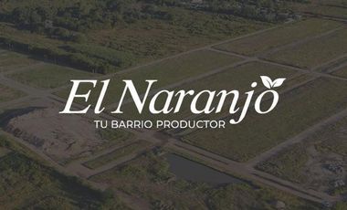 Lote en Venta en El Naranjo Ibarlucea OPORTUNIDAD!