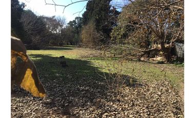 VENTA TERRENO ALVEAR