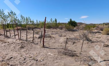 Terreno en Añelo