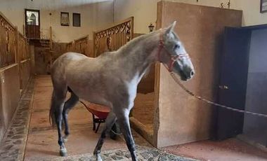 Espectacular Rancho en Venta en Cajititlan Jal. 15 Hectareas