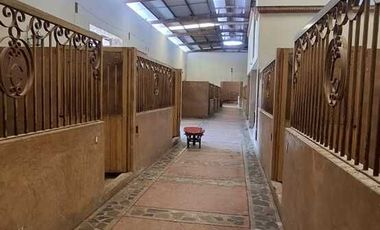 Espectacular Rancho en Venta en Cajititlan Jal. 15 Hectareas