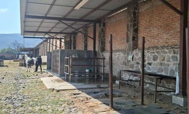 Espectacular Rancho en Venta en Cajititlan Jal. 15 Hectareas