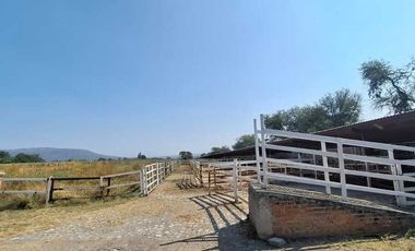 Espectacular Rancho en Venta en Cajititlan Jal. 15 Hectareas