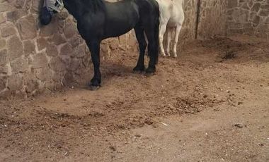 Espectacular Rancho en Venta en Cajititlan Jal. 15 Hectareas