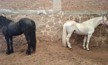 Espectacular Rancho en Venta en Cajititlan Jal. 15 Hectareas